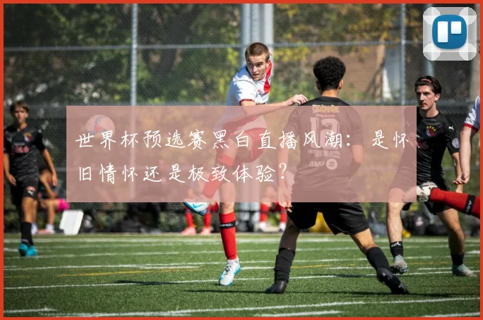 世界杯预选赛黑白直播风潮:是怀旧情怀还是极致体验?